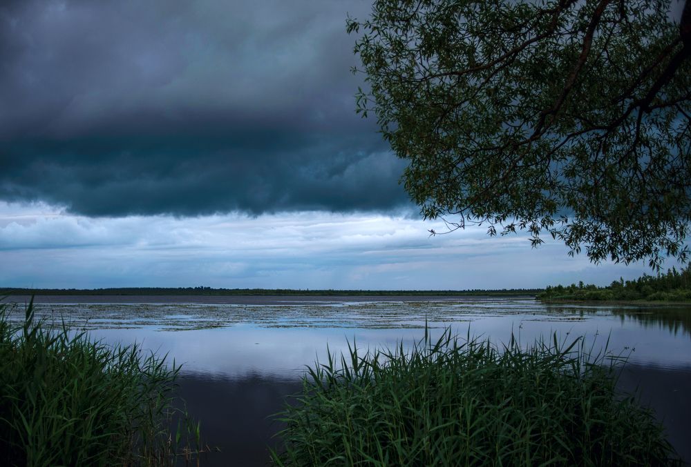 Photograph by Лариса Абрамова