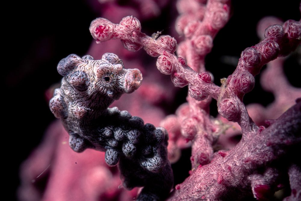 Photograph by Deniz muzaffer Gokmen