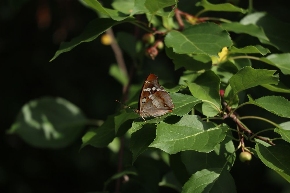 Photograph by Мария Глухова