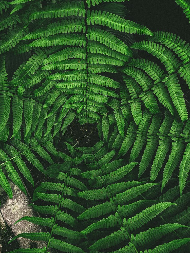 Photograph by Anastasia Ulitko