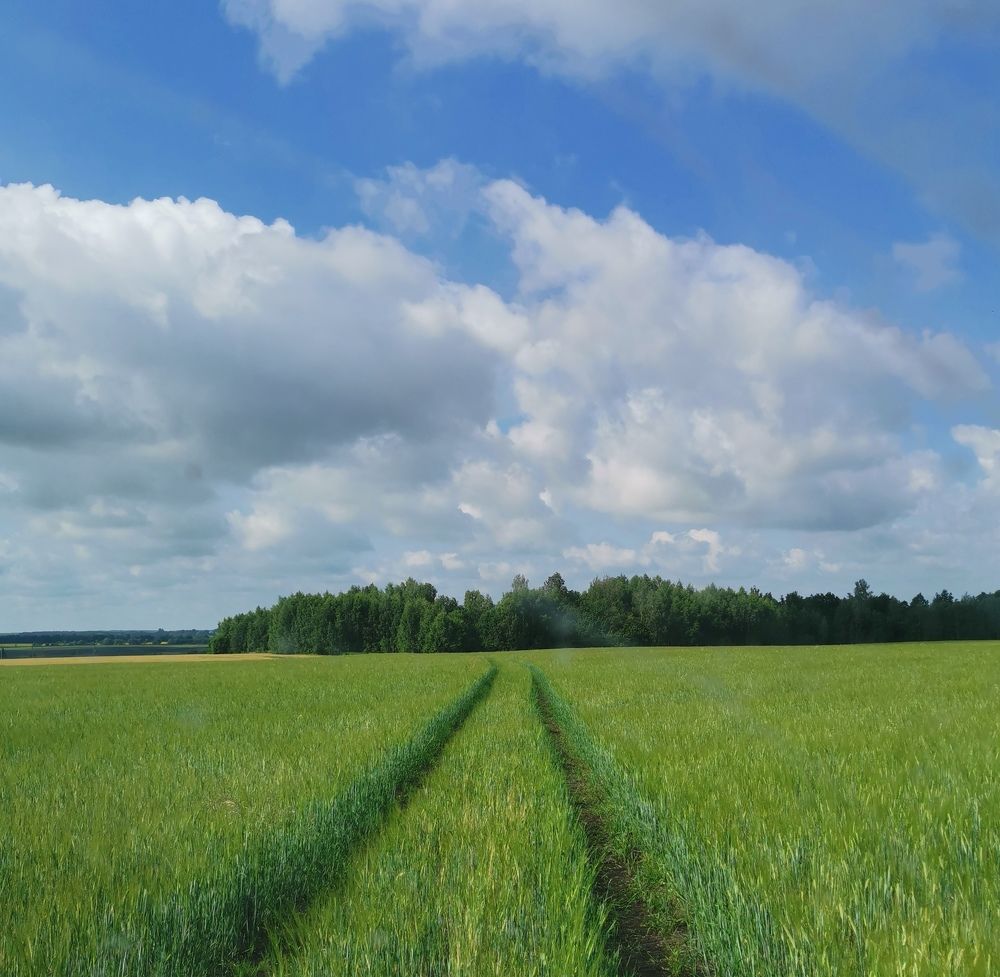 Photograph by Александр Костин