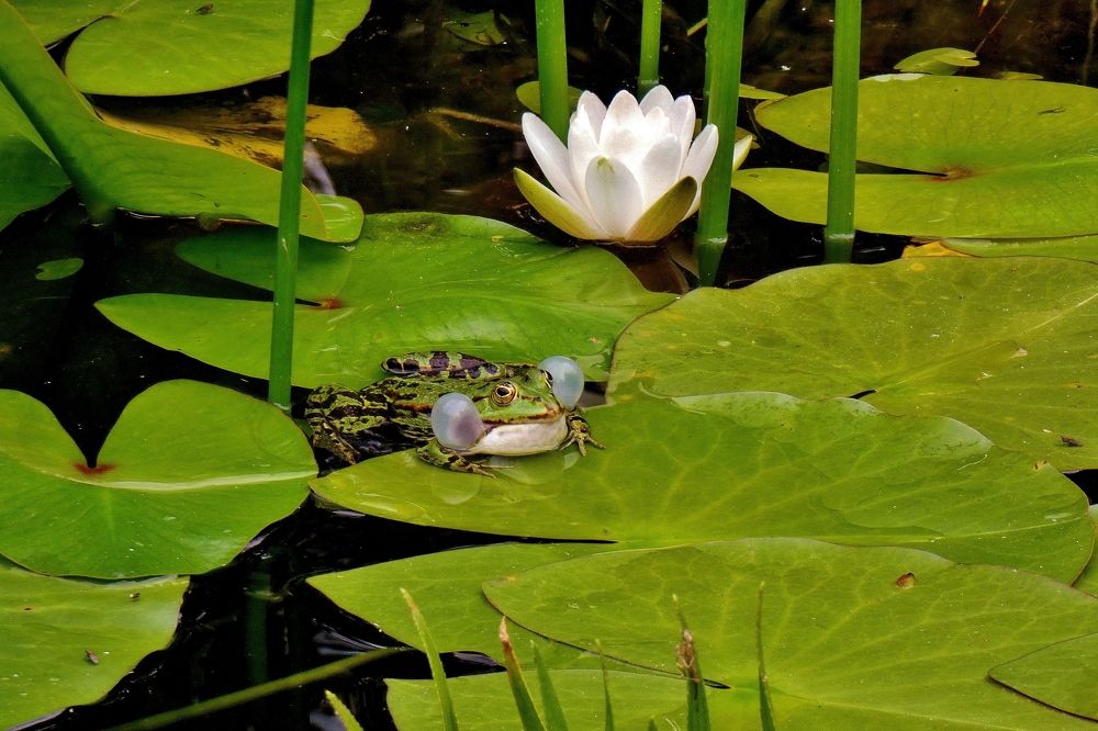 Photograph by backareva irina