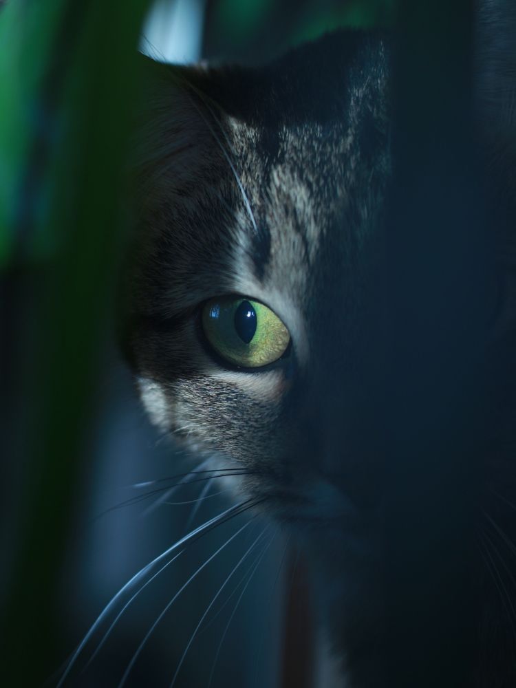 Photograph by Марина Беляева