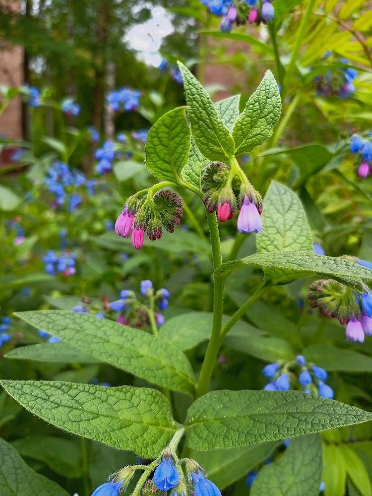 Фотография автора Eli Arzimanova