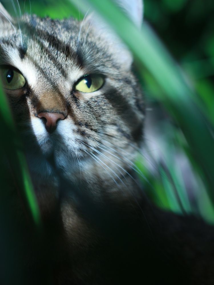 Photograph by Марина Беляева