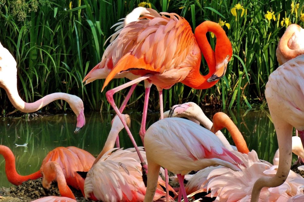 Photograph by backareva irina