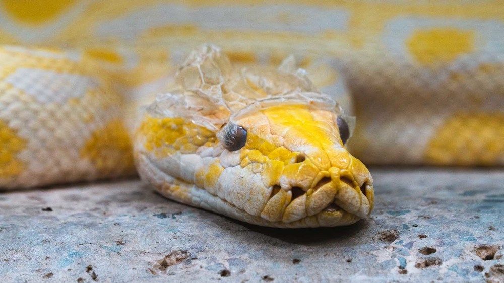 Photograph by Khazov Artem