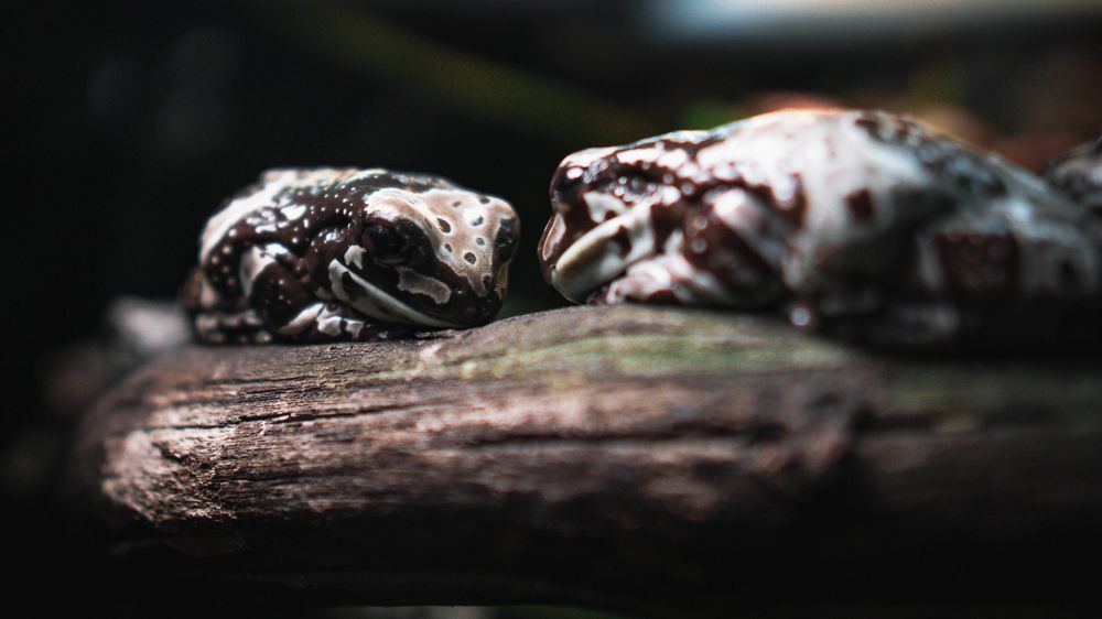 Photograph by Khazov Artem