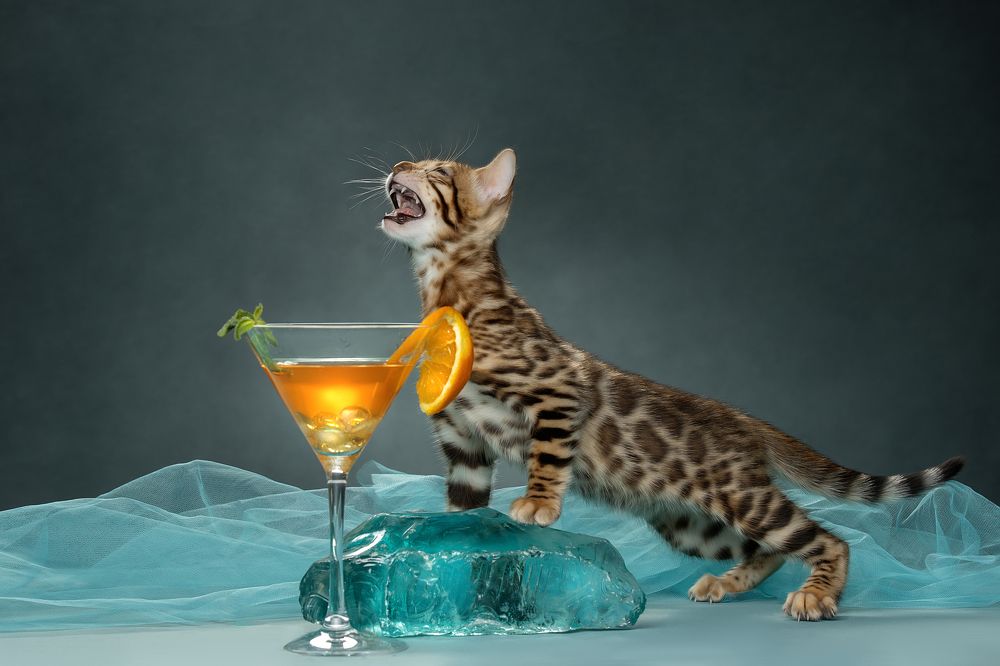 Photograph by Светлана Писарева