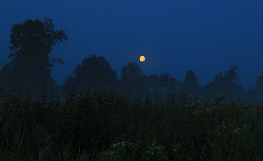Фотография автора Светлана Терехова