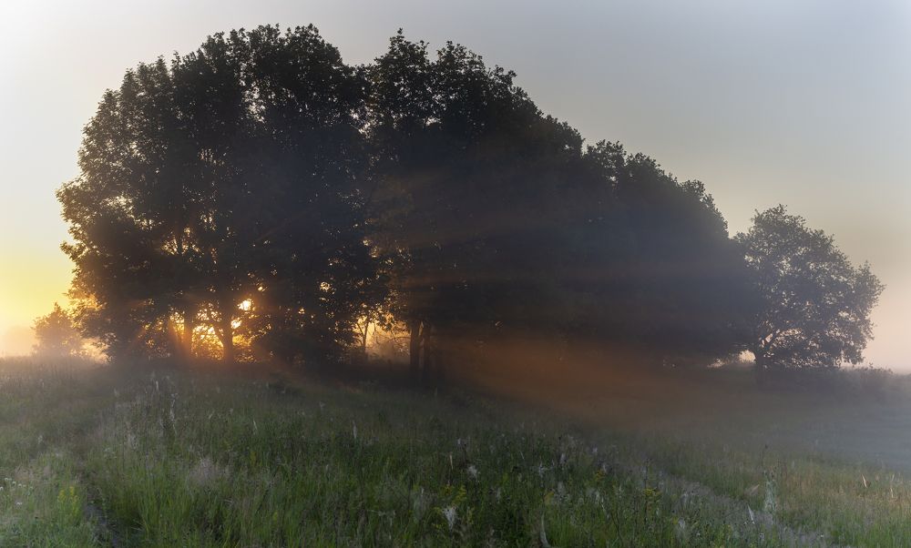 Photograph by Александр Чибиркин