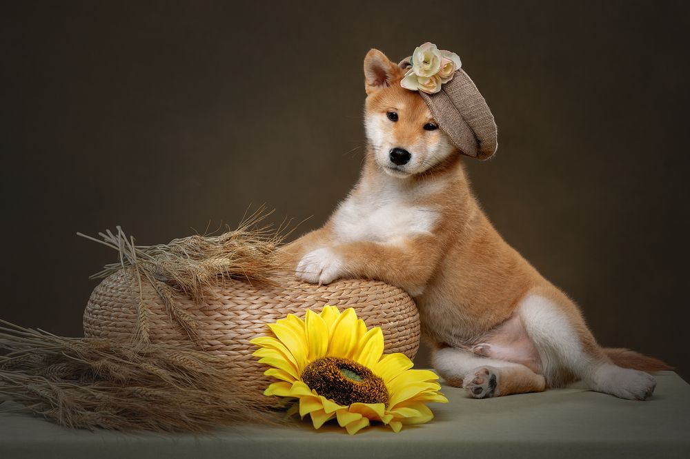 Photograph by Светлана Писарева