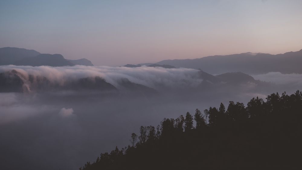 Photograph by Kiran Ottur