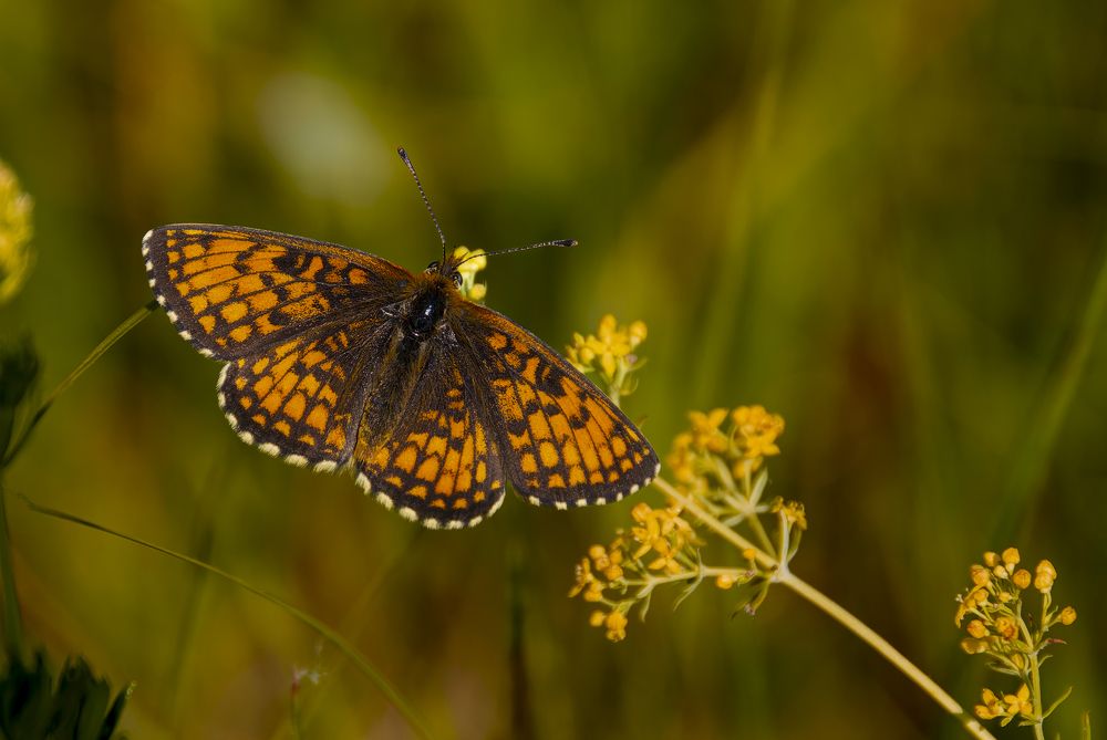 Photograph by Лев Постнов