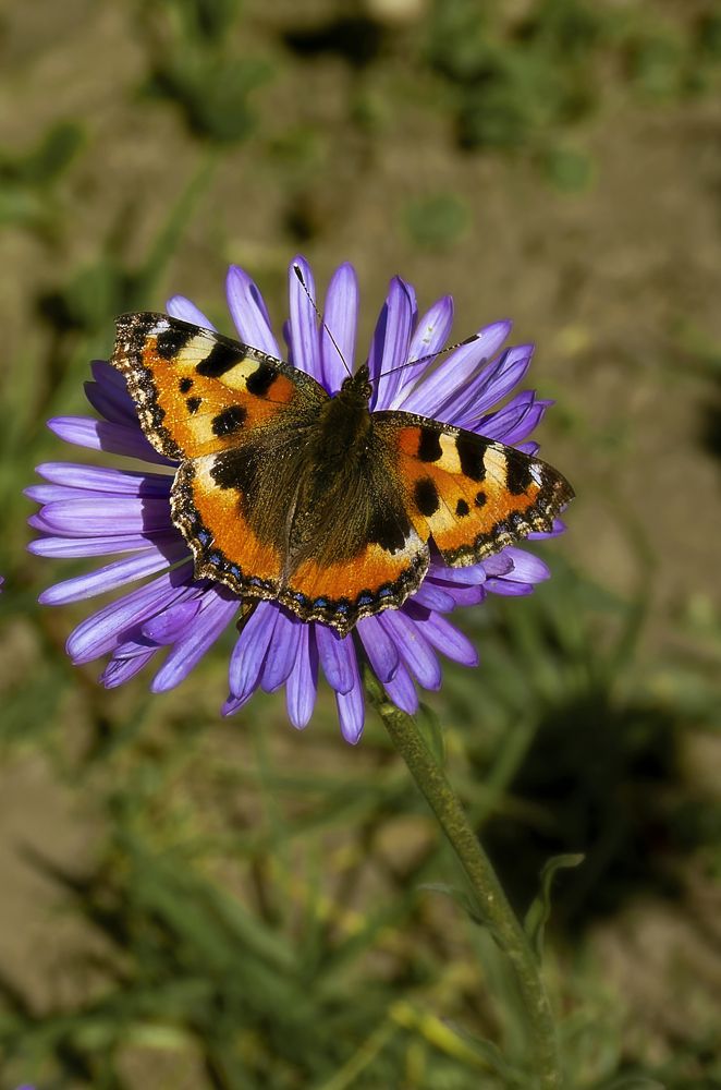 Photograph by Лев Постнов