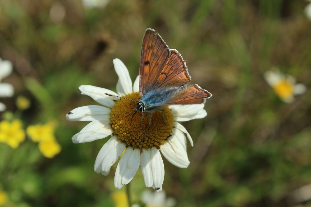 Photograph by Наталья Волкова