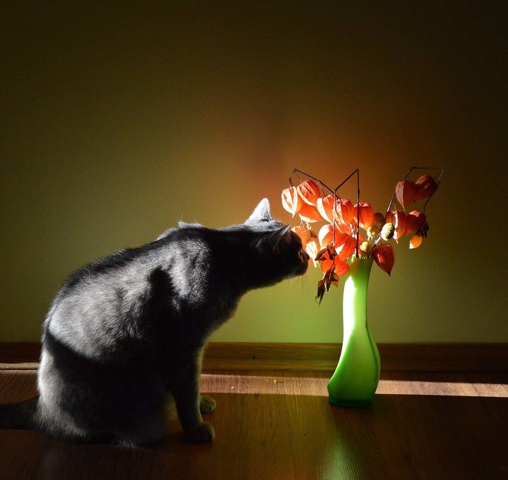 Photograph by Ксения