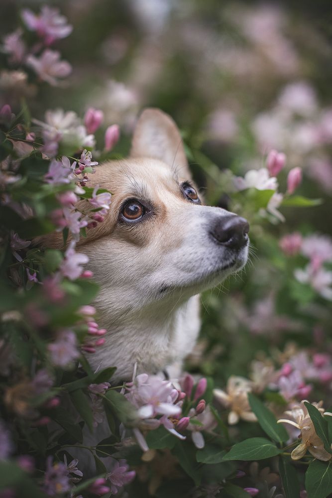 Photograph by Маргарита Богуславская