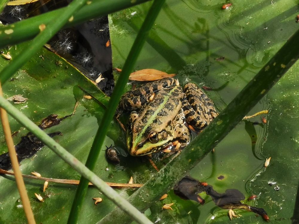Photograph by Ольга Попченко