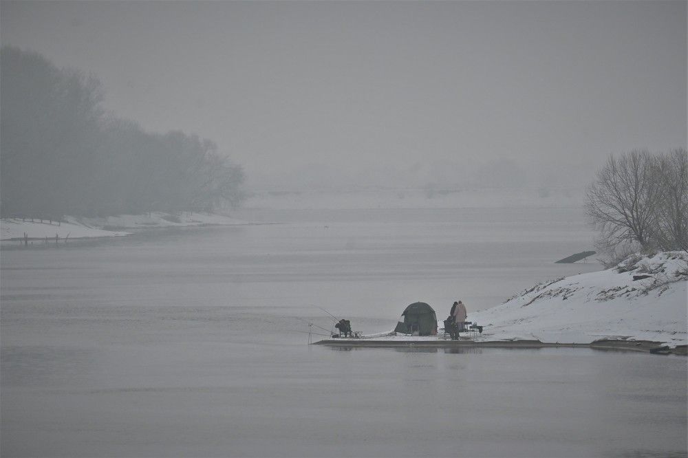 Фотография автора IRINA FILIPPOVA