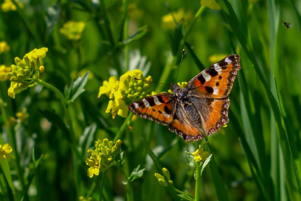 Photograph by Николай Грекалов