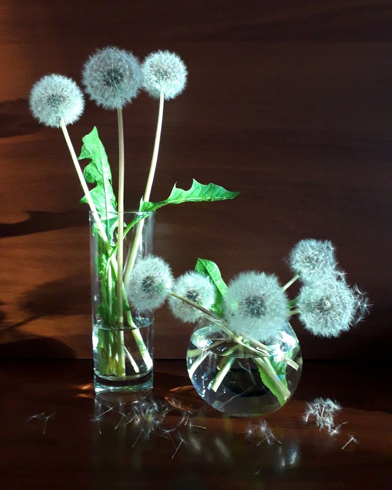 Photograph by Ольга Березовская