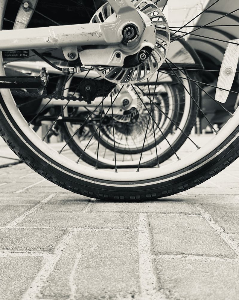 Photograph by Irina Kolotova