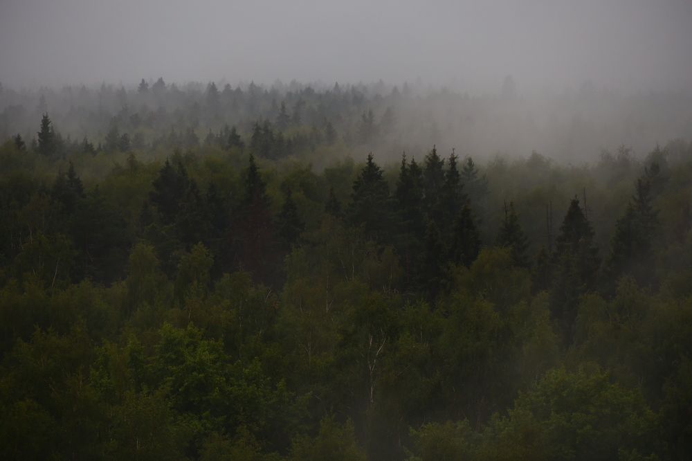 Фотография автора Марият Магомедова