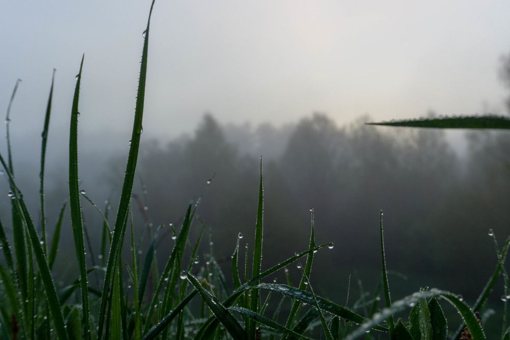 Photograph by Александр Ходакин