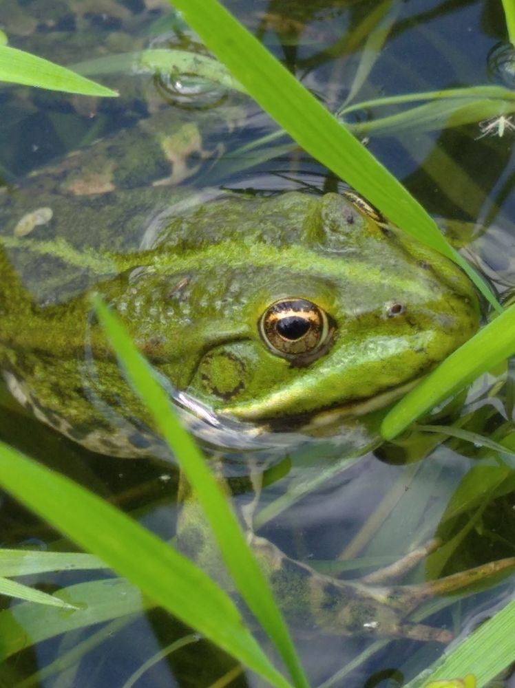 Photograph by Елена Коробченко