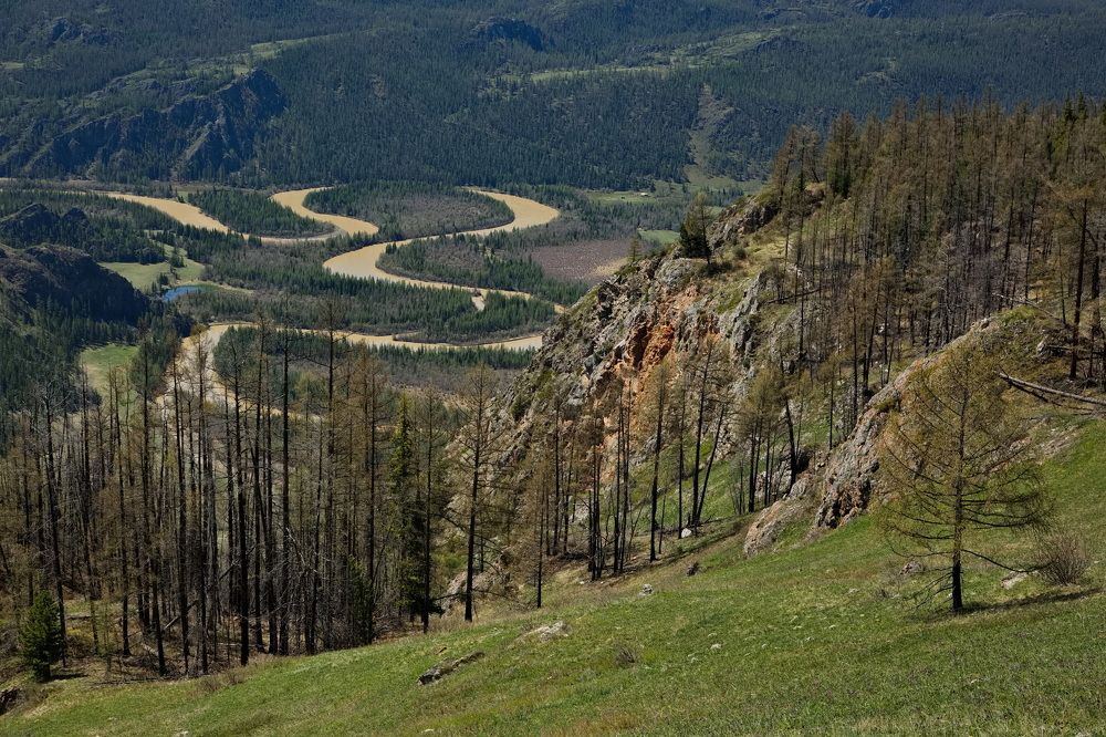 Photograph by Олег Раков