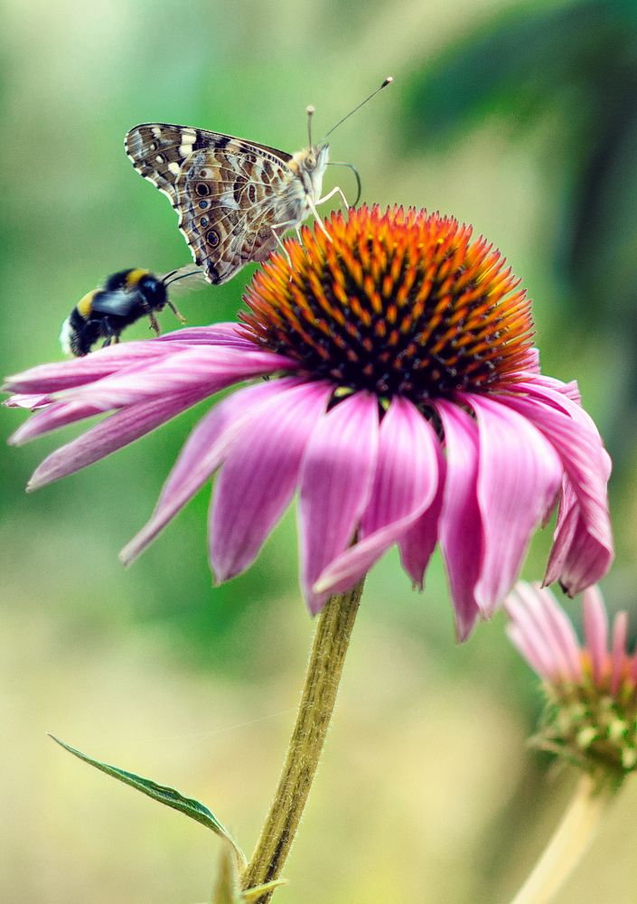 Photograph by Александр Белянский