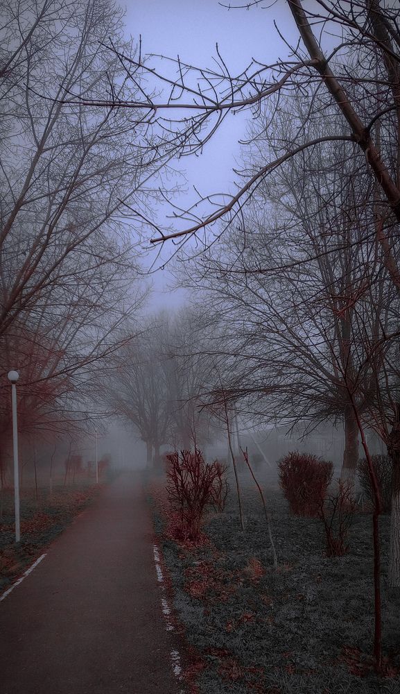 Photograph by Елена (Мори) Кузнецова