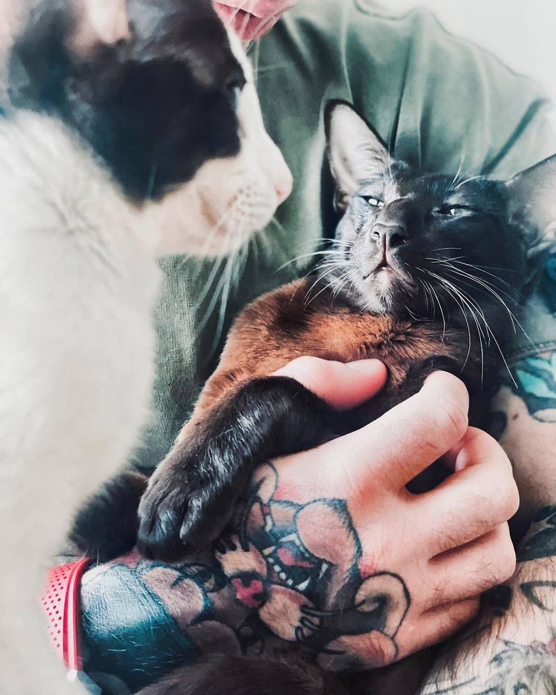 Photograph by Катерина