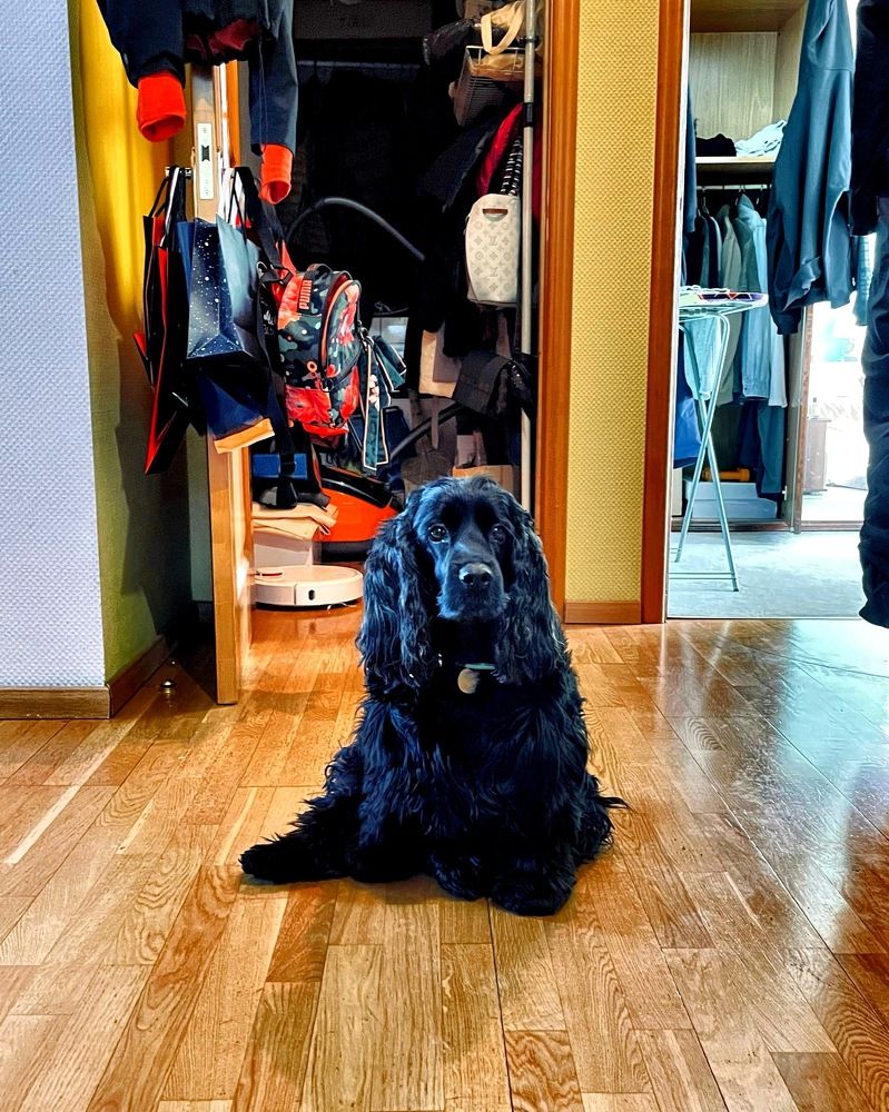 Photograph by Катерина