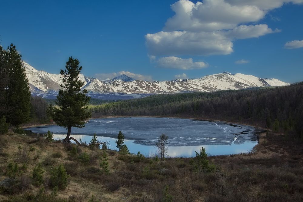 Фотография автора 