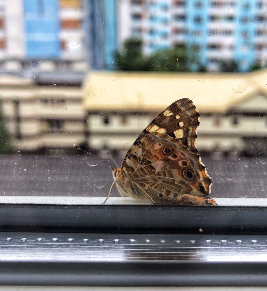 Photograph by Людмила Евстратова