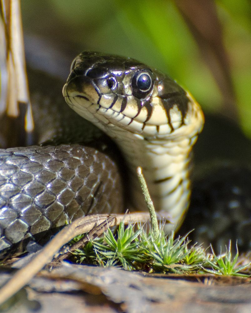 Photograph by Роман Кудрявцев