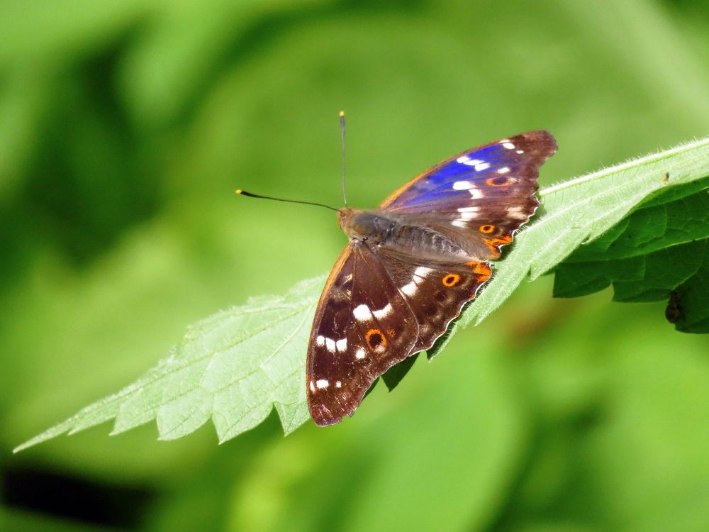 Photograph by Владимир Крылов