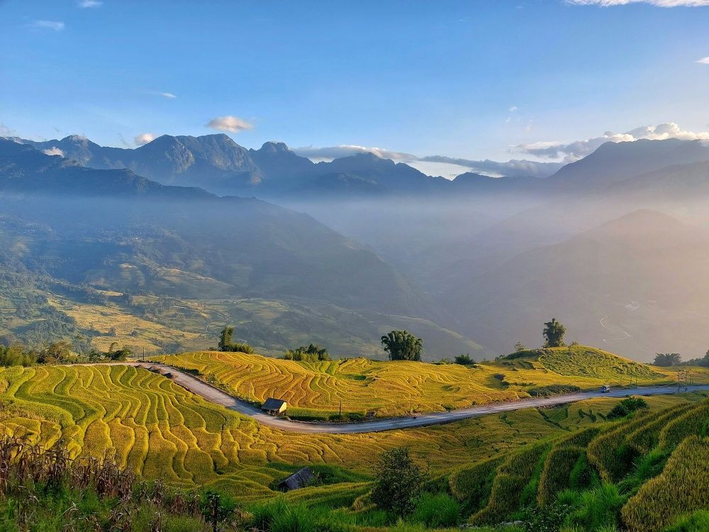 Ngai Thau rice terraces field in afternoon sunshine