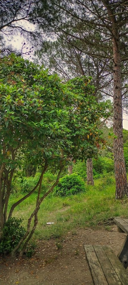 Photograph by Елена Егорова