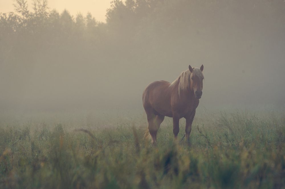 Photograph by Евгений Калагаев