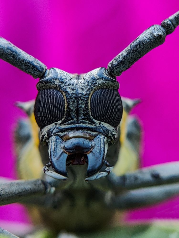 Photograph by Ajeesh A