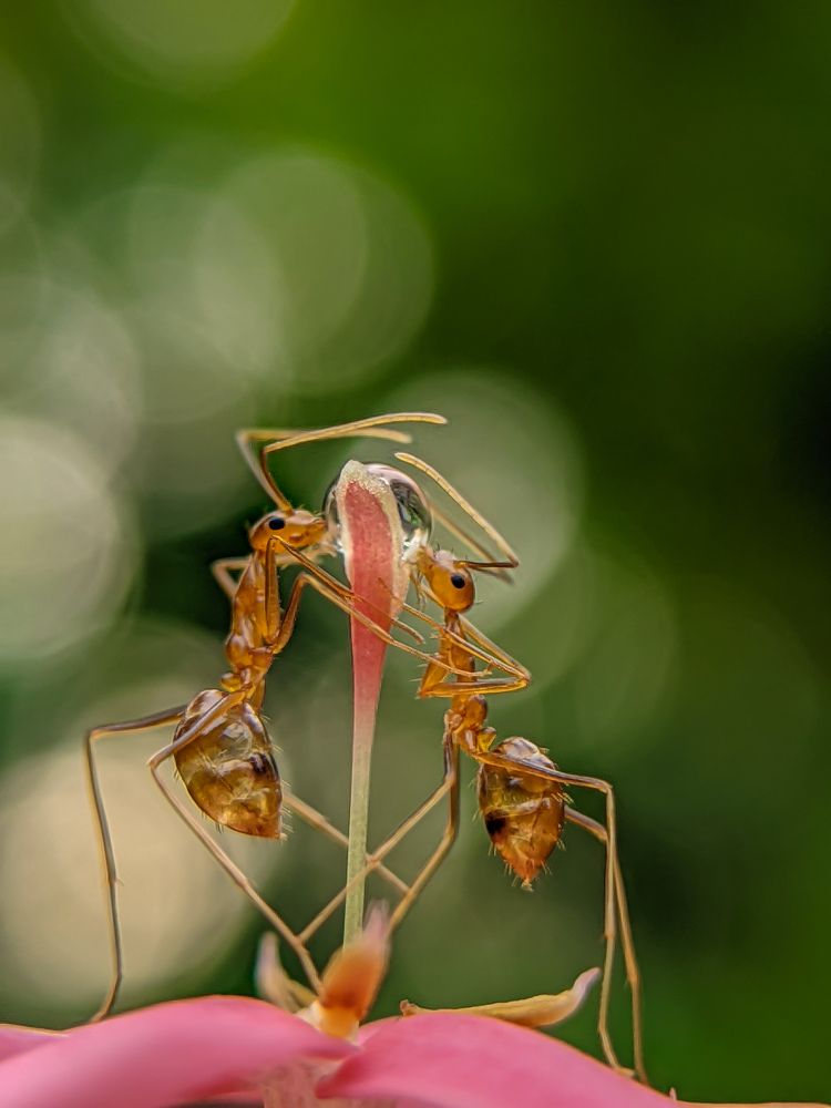 Photograph by Ajeesh A