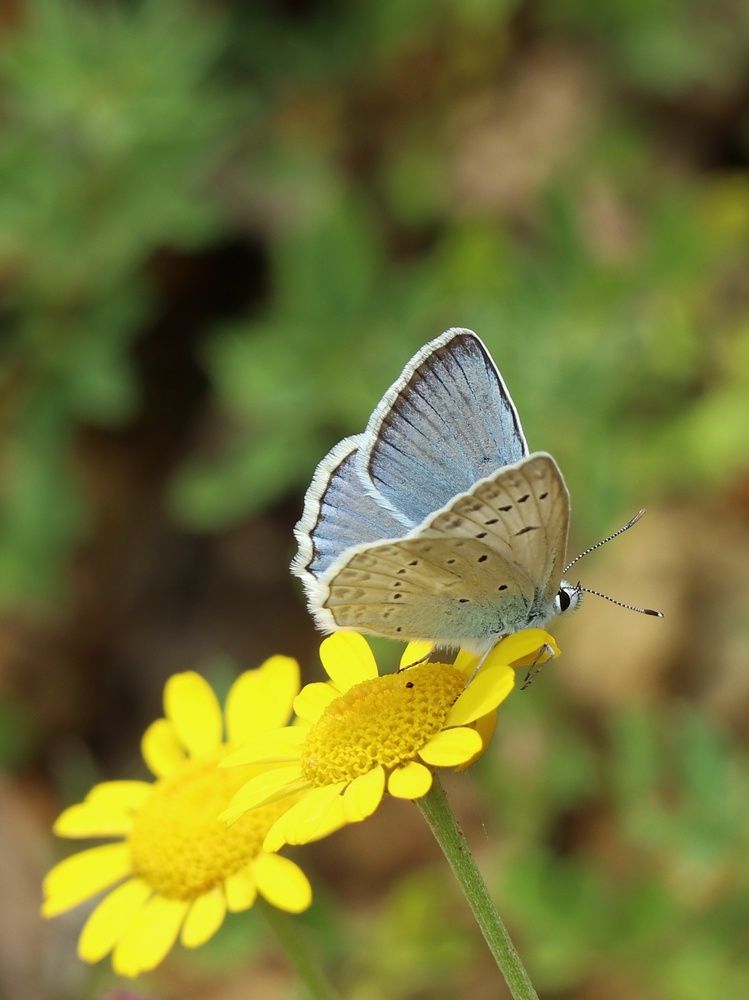 Photograph by Ирина Корабельникова