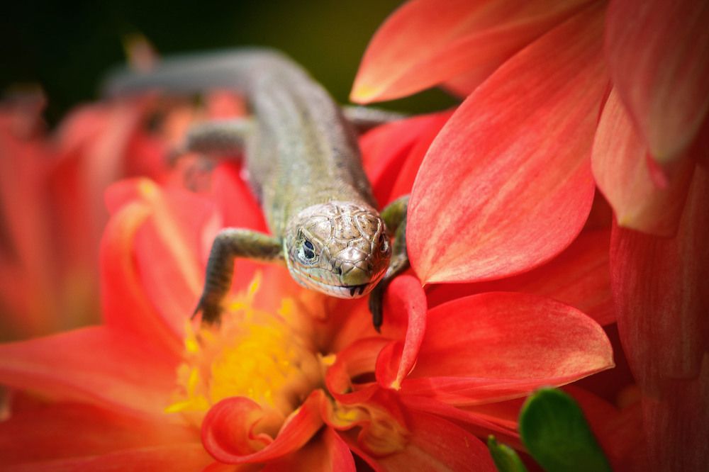 Photograph by Нели Арнаудова