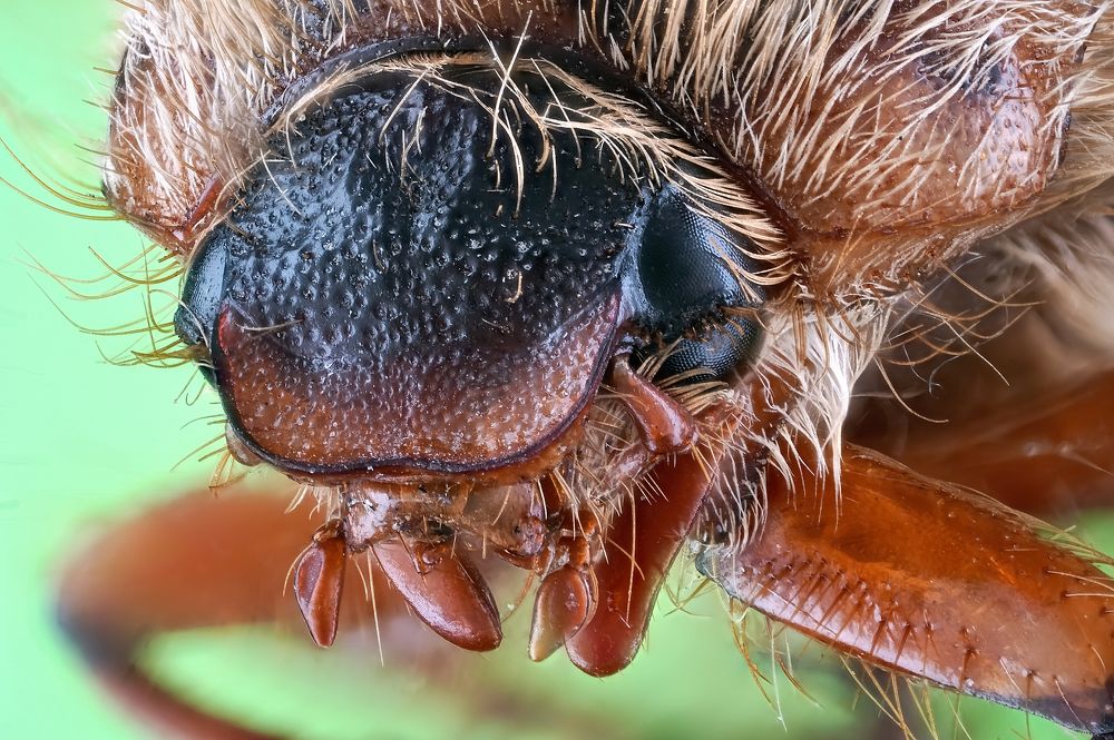 Photograph by Александр Трипольский