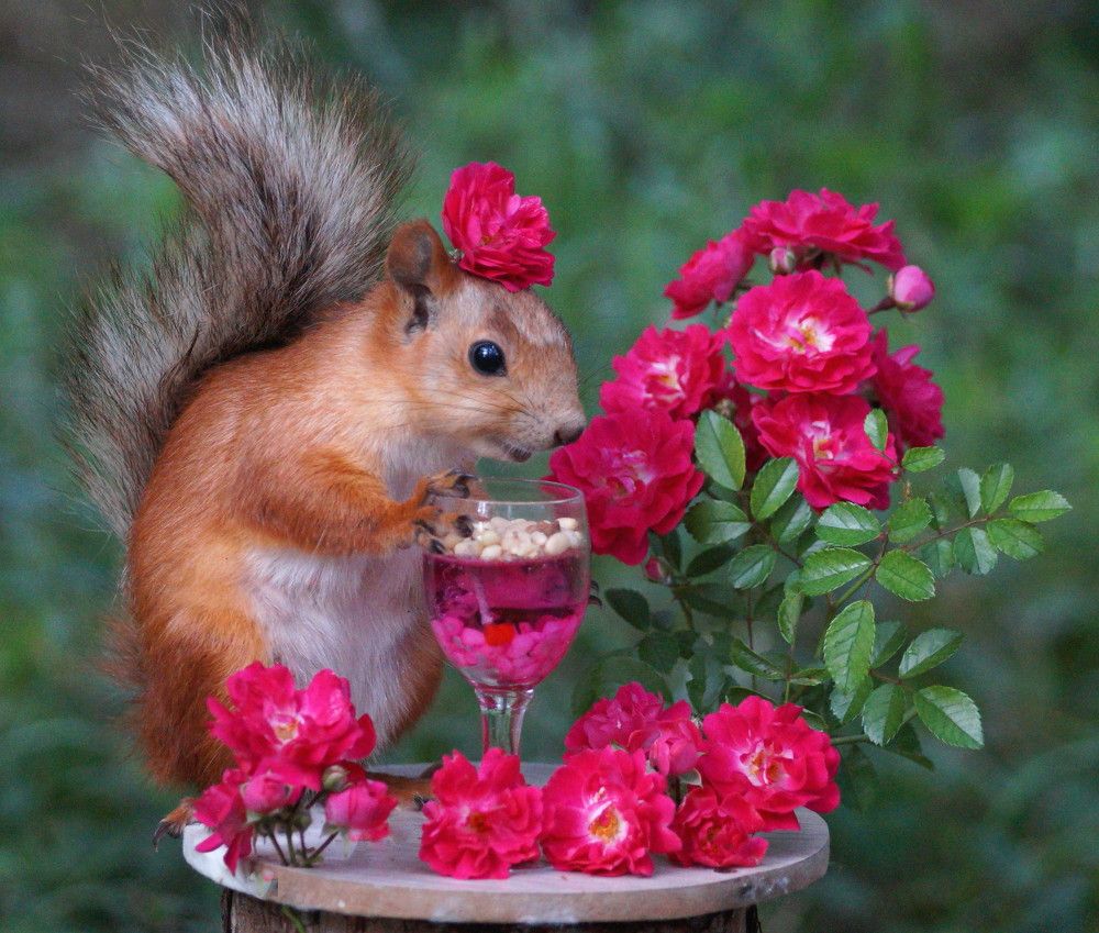 Photograph by Наталья Степаненко