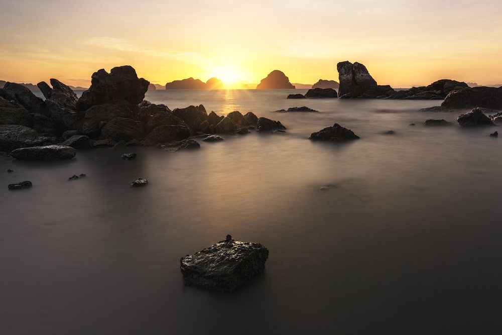 Photograph by PARTHA ROY