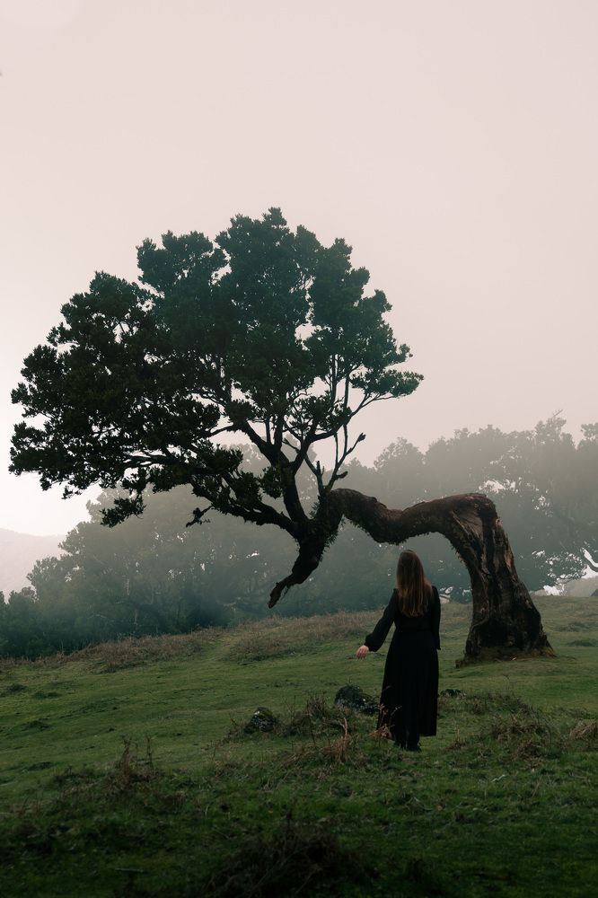 Photograph by Наталья Посашко